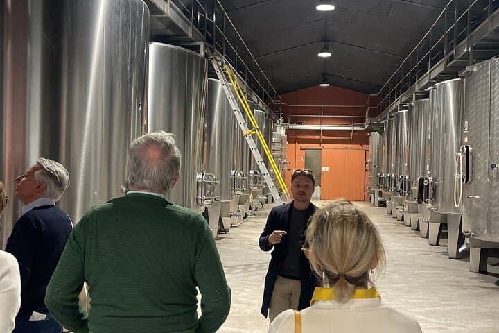Médoc Wine Tour Vert Bordeaux