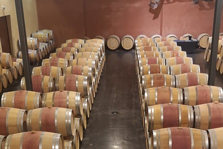 Médoc Wine Tour Vert Bordeaux