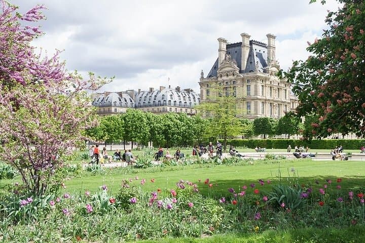 Paris & Louvre Semi Private or Private Tour with Île de la Cité