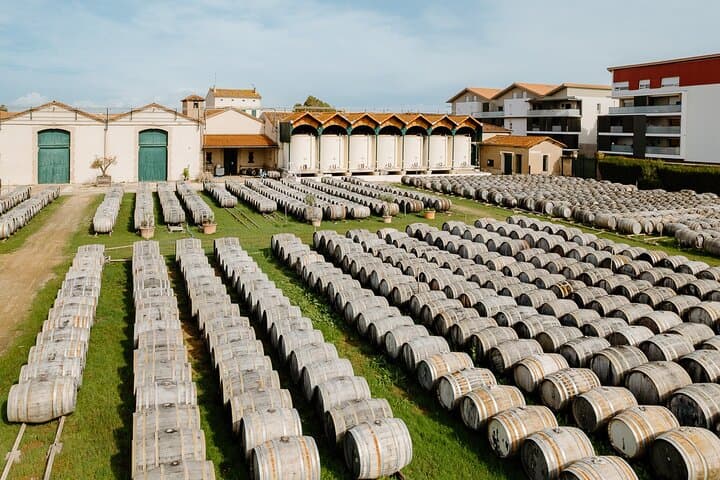 MARSEILLAN : Maison Noilly Prat, cellars visit and tasting FRENCH