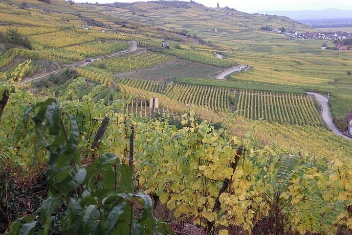 Beauty and the Beast the Fairytale Private Tour of Alsace