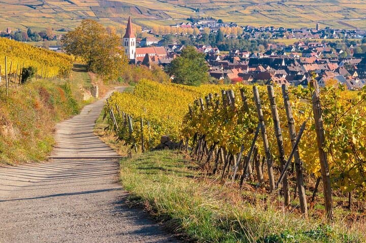 Excursion on the Alsace Wine Route