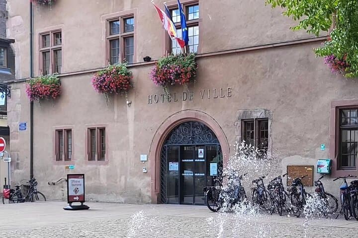 Excursion on the Alsace Wine Route