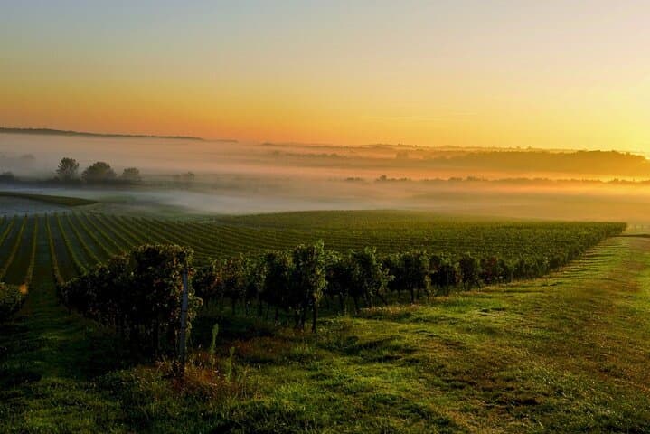 A taste of Medoc Half Day Private Wine Tour from Bordeaux Port