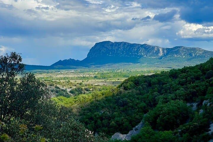 Wine tour Pic Saint-Loup from Montpellier with meals