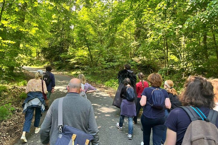 The mysteries of the Forest of Fontainebleau immersive tour
