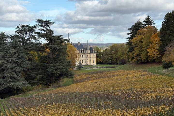 Half Day Champagne Experience and Tastings, Near Épernay