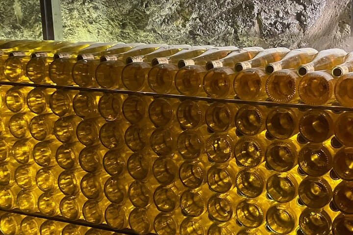 Wine Cellar