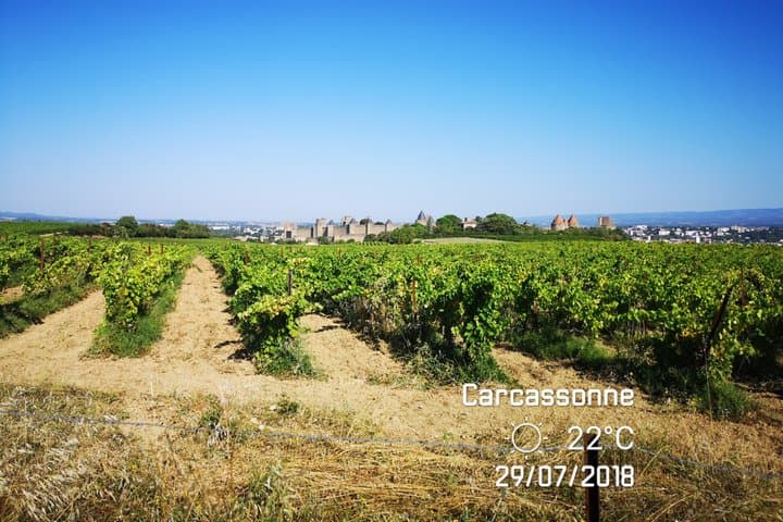 Carcassonne