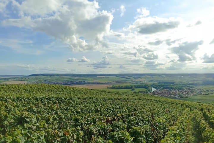 Private Champagne Day Trip from Paris with 7 Tastings & Lunch