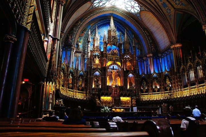 Notre Dame Access with Exterior and Indoor Guided Tour