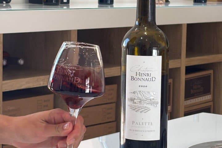 English - Provence Wine Tour near Aix-en-Provence Tasting & Visit
