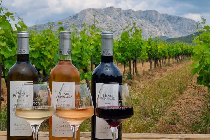 English - Provence Wine Tour near Aix-en-Provence Tasting & Visit