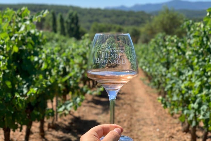 English - Provence Wine Tour near Aix-en-Provence Tasting & Visit