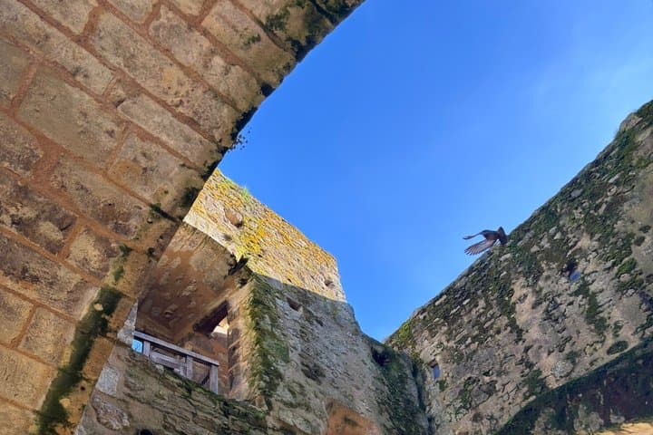 The lower door (10 m x 8 m) dates from 1212 (Hervé II de Vierzon), with modifications in the 15th century: machicolation, bay and fireplace; protected by foothills against floods of the Cher.