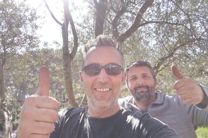 Visit of the Olive grove and tasting in Cotignac