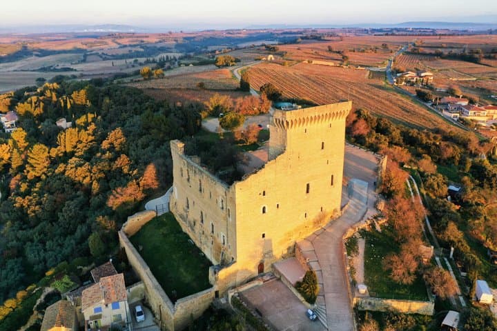 Wine tasting in Chateauneuf-du-Pape with transport