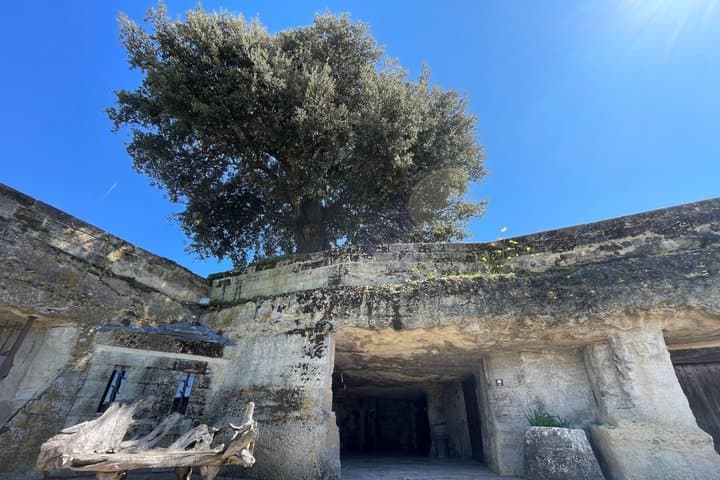 Bordeaux Wine Tour : All about stone around Saint Emilion