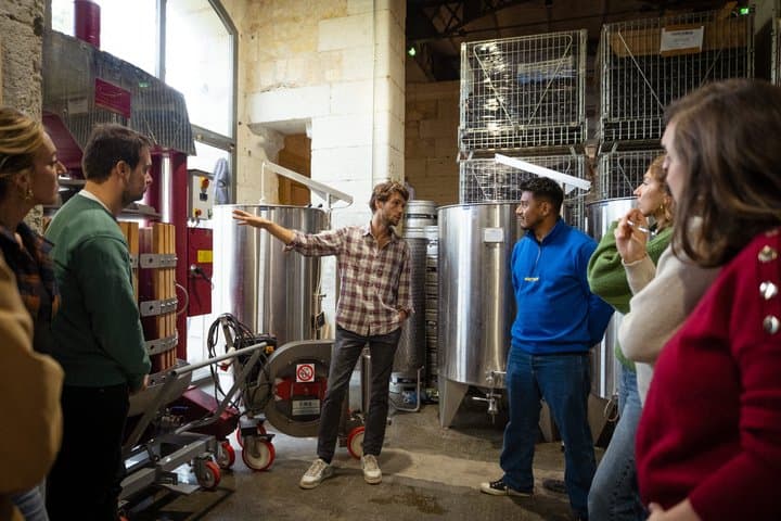 Creation of wine