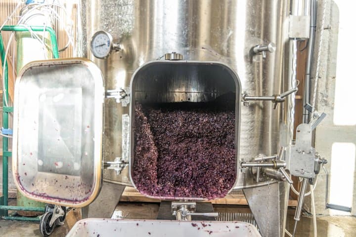 Creation of wine
