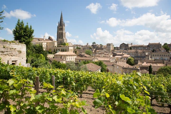 Bordeaux Self Exploration From Le Verdon Port Round Trip Transfer
