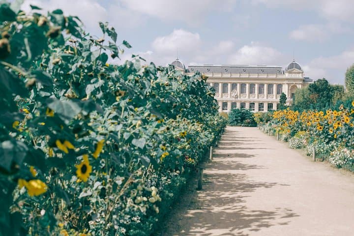 Jardin des Tuileries Photoshoot
