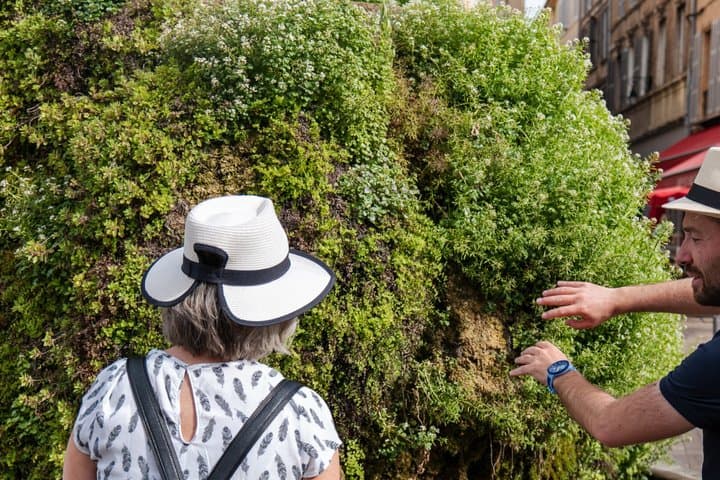 Aix en Provence : Food & City Tour - From Aix