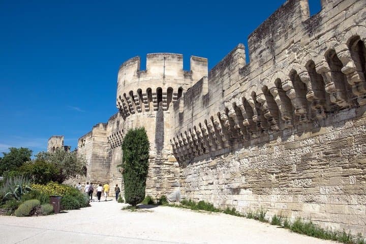 Avignon, Chateauneuf-du-Pape & Saint Remy de Provence private day