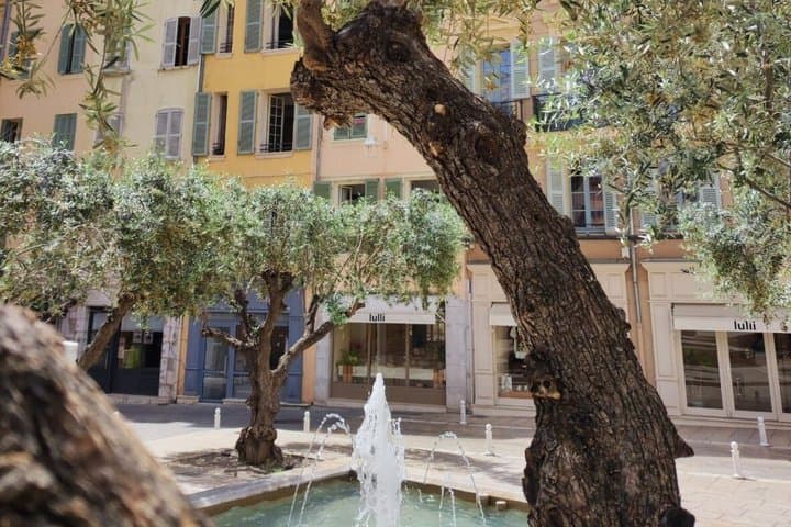 Toulon Culinary and History Walking Food Tour with a local guide