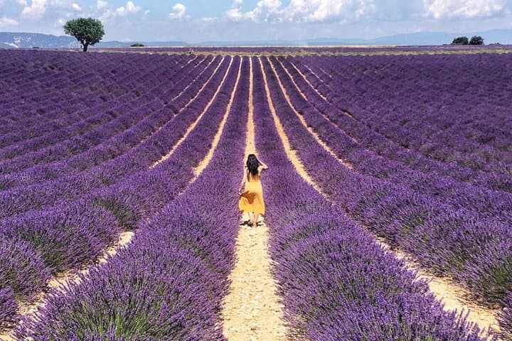 Verdon Gorge and Provence Private Scenic Sightseeing Tour