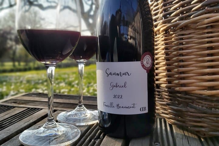 Wine Tasting with the Winemaker at Domaine Beaumont Distré-Saumur