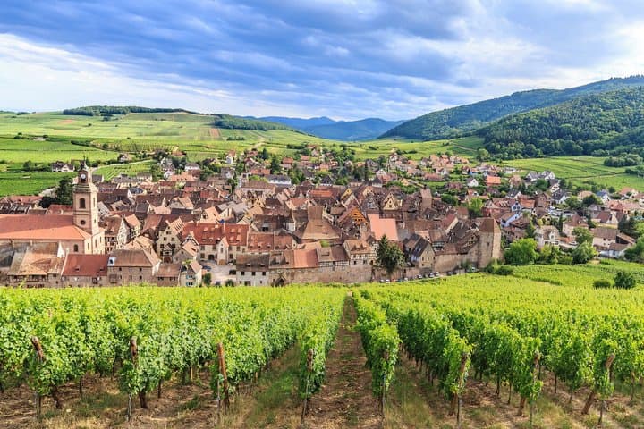 Alsace Villages & Winery: Half Day Private Tour from Colmar