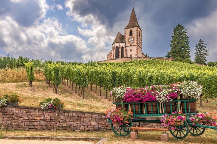 Alsace Villages & Winery: Half Day Private Tour from Colmar