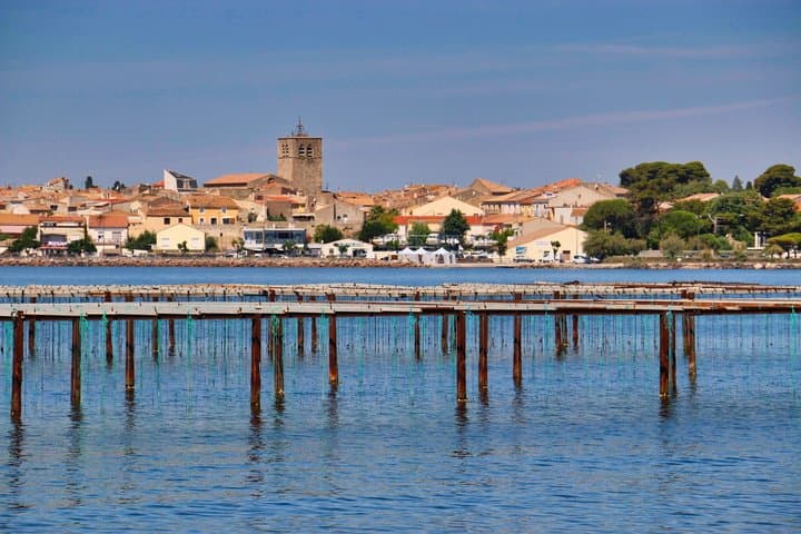 Sète Seafood & Lagoon Voyage – Private Shore Tour 4 Hours