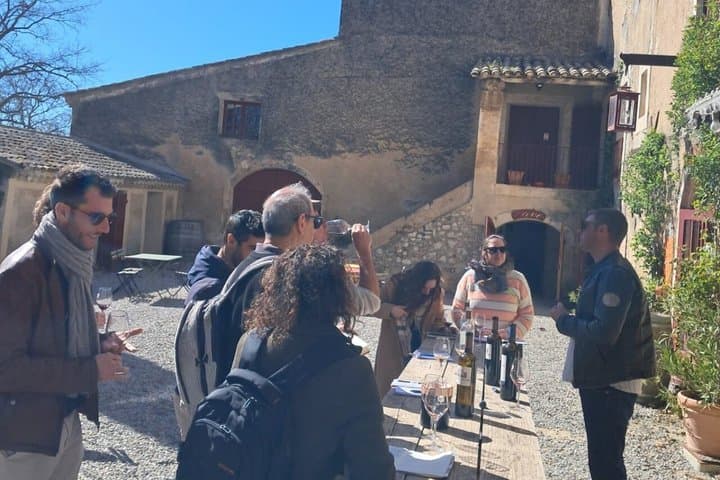Bandol & Cassis Rosé Wine Tour from Marseille