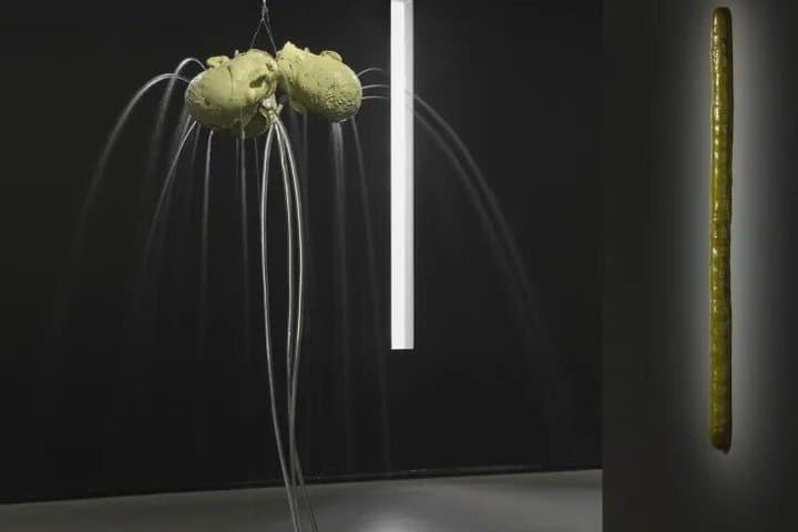 Paris Visitez l'expo Clair obscur avec 1 guide conférencière