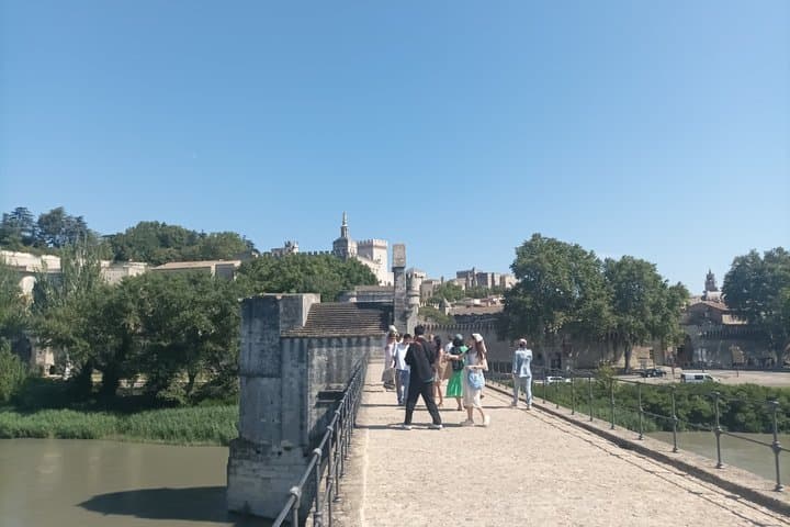 Private Avignon Walking Tour Popes Palace and Pont dAvignon
