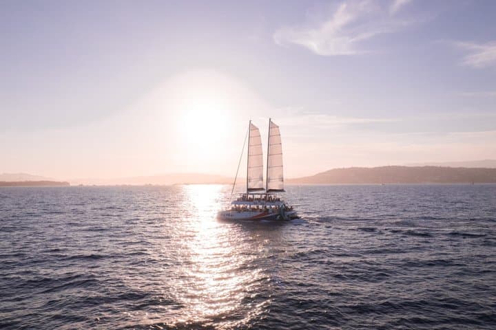 Marina Bay of Angels | The Sunset | Anse de la Salis
