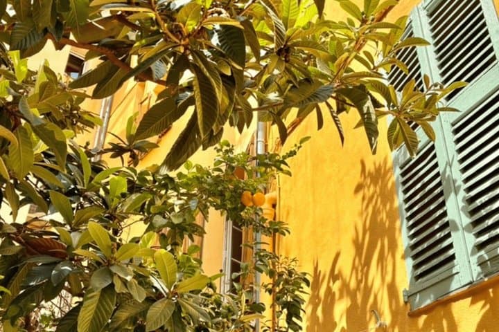 Antibes: Private Walking Tour Market Old Town and Sea Views