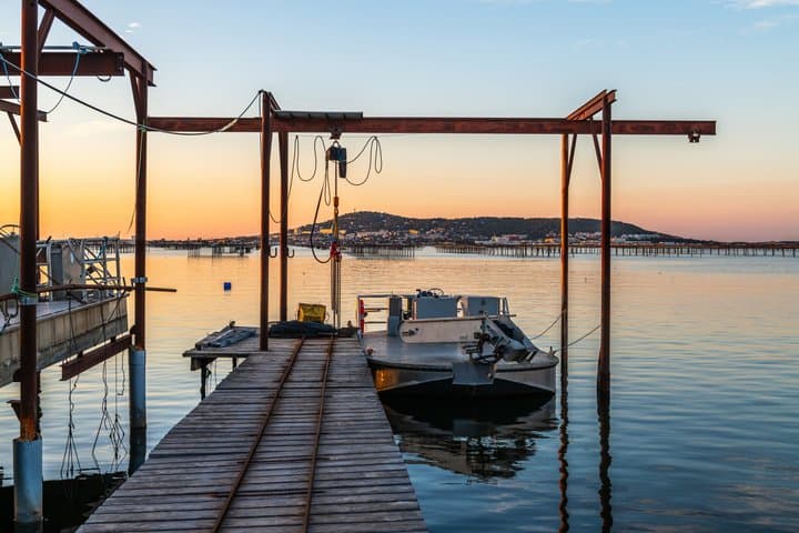 Sète Seafood & Lagoon Voyage – Private Shore Tour 4 Hours