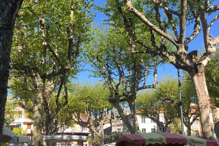 Art and Perfume Discovery in Riviera