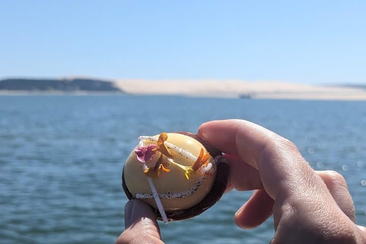 Private Day Trip to Arcachon Boat Cruise Oysters Dune du Pilat