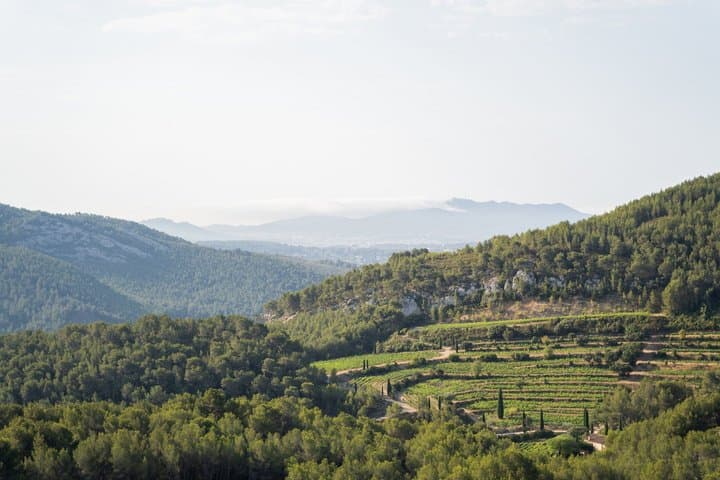 Private Shore Tour: Provence Wine Tasting & Scenic Villages