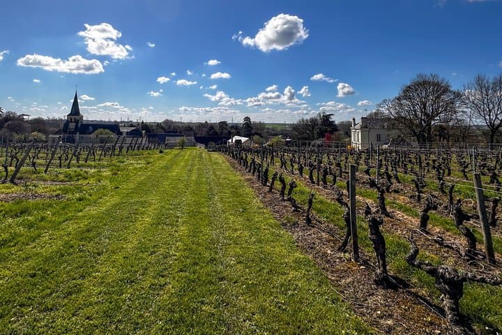 Wine Tasting with the Winemaker at Domaine Beaumont Distré-Saumur