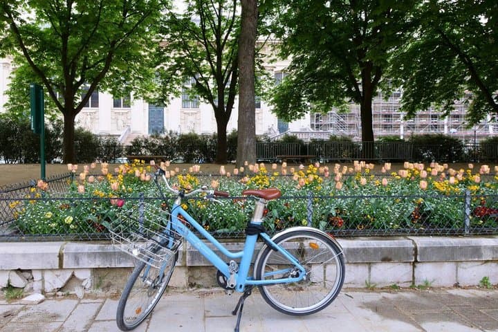 Premium Paris Vineyard Experience by E-Bike: Wine Tasting Tour