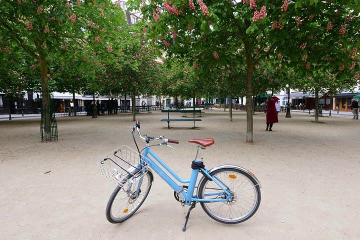 Premium Paris Vineyard Experience by E-Bike: Wine Tasting Tour