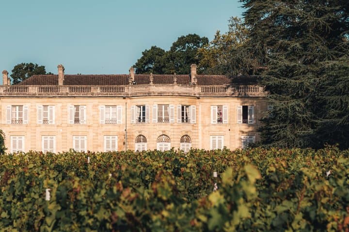Médoc Wine Tour from Bordeaux Châteaux Visits and Tastings