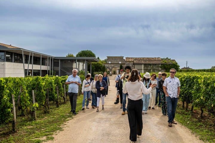 Médoc Wine Tour from Bordeaux Châteaux Visits and Tastings