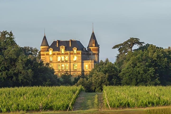 Depuis Bordeaux excursion viticole à Sauternes