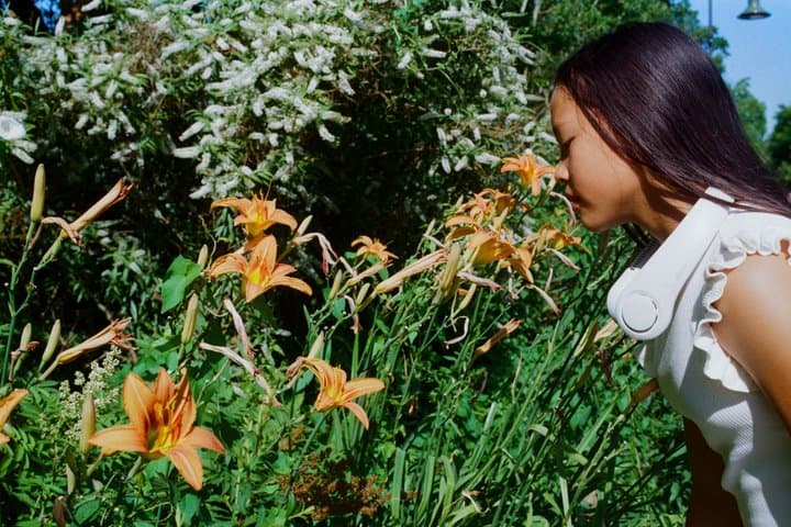 Giverny and Impressionism Private Tour